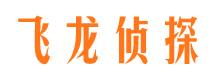 桃城寻人公司